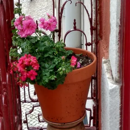 Charm And Space In Historic Διαμέρισμα Lisboa
